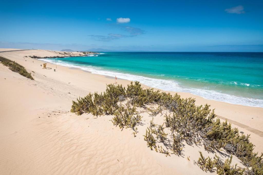 Los Majos Fuerteventura Tarajalejo Dış mekan fotoğraf